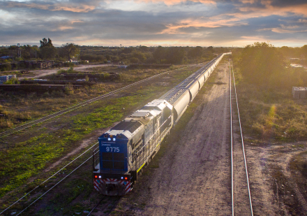 tren1.jpg