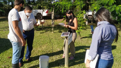 Fuerte impulso a la producción de arándanos y advertencias por presencia del "cascarudo rubio"