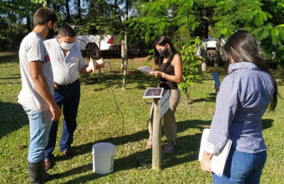 Fuerte impulso a la producción de arándanos y advertencias por presencia del "cascarudo rubio"