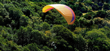 parapente.jpg