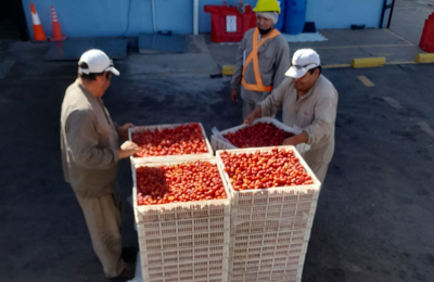 Frutilla chaqueña en lo alto