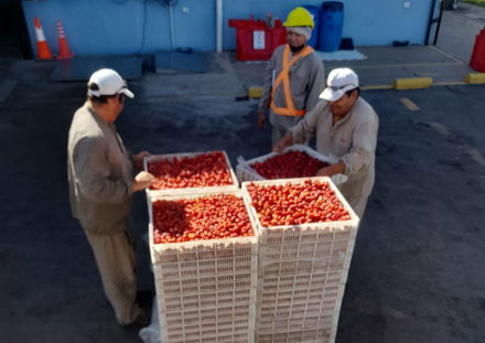 En-camion-la-frutilla.jpg