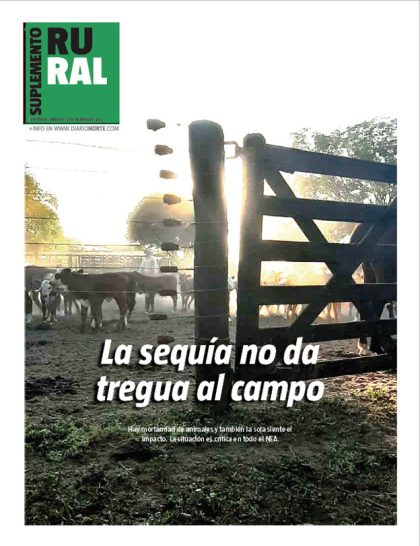 La sequía no da tregua al campo