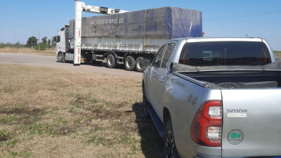 La alfalfa chaqueña toca suelo boliviano