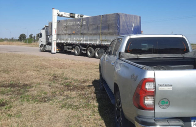 La alfalfa chaqueña toca suelo boliviano