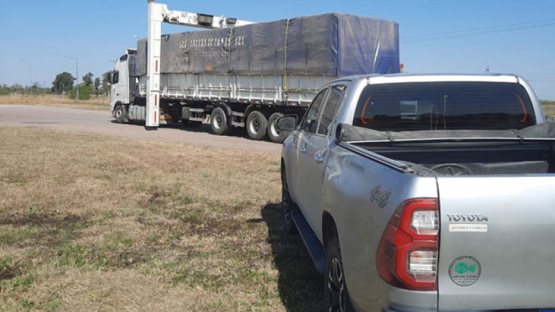 La alfalfa chaqueña toca suelo boliviano