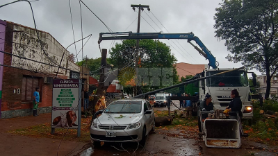 Árboles caídos y complicaciones luego de la intensa lluvia en Resistencia