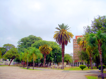 pronostico.jpg