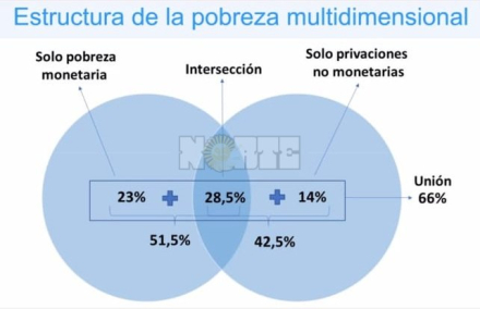 grafico.jpeg