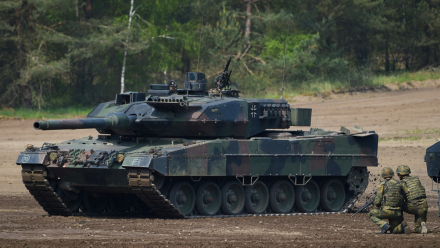 leopard.jpg