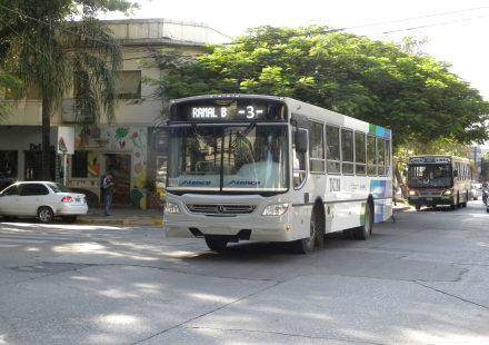 colectivos 02.jpg