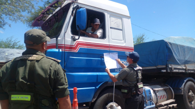 Gripe aviar: el Senasa refuerza los controles en Chaco y Formosa