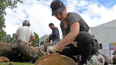 Escultoras chaqueñas dan los primeros cortes a sus obras