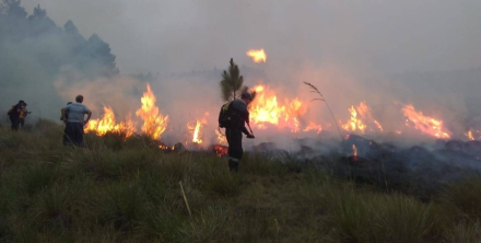 Incendios (Fuente El Litoral).jpg