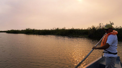 Laguna Iberá: el lado salvaje de Corrientes