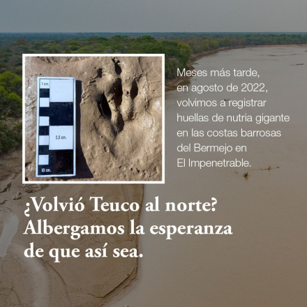 teuco3.jpeg
