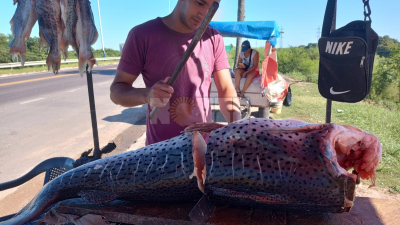 El pescado a $2000 el kilo pero falta el "efecto Semana Santa"