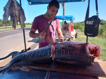 pescado semana santa.jpg
