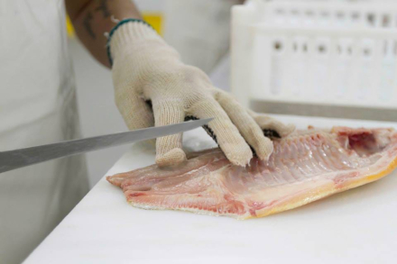 pacu_abril 2023c.jpg.jfif