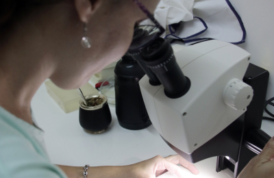 Qué piensan sobre su trabajo los jóvenes investigadores científicos del nordeste