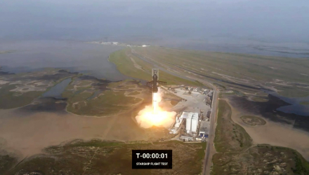 elon1.jpg