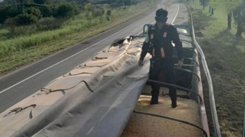 Detuvieron camiones de soja de contrabando y animales robados