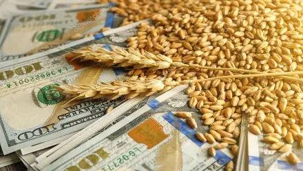 dolar-agrojpg.webp