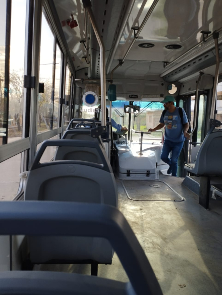 colectivo.jpeg