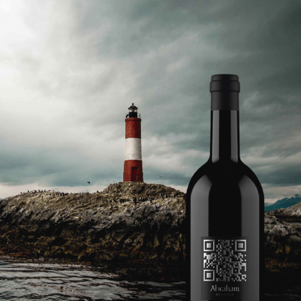 vino01.jpg