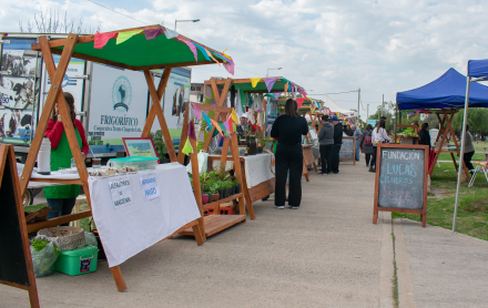 mercados populares 2.jpg