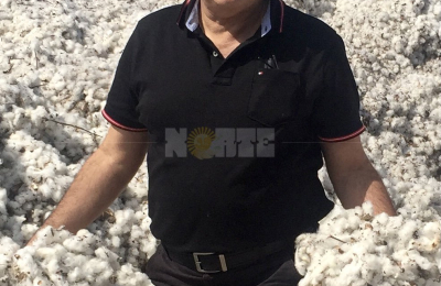 Sin dólar agro para el algodón, la industria espera mejores condiciones