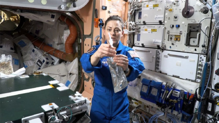 nasa3.jpg