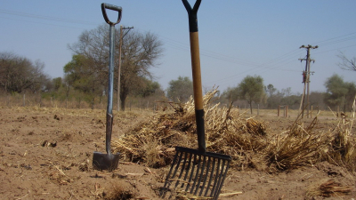 Cuidar los suelos es preservar la fuente de alimentos