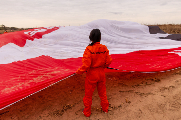 © Sebastian Pani / Greenpeace