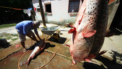 El pescado vuela: hasta 2700 pesos el kilo en el barrio San Pedro