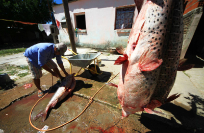El pescado vuela: hasta 2700 pesos el kilo en el barrio San Pedro