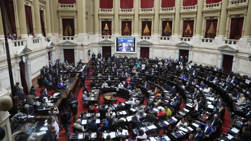Diputados reflexionaron sobre la importancia de que se hayan cumplido 40 años interrumpidos en democracia