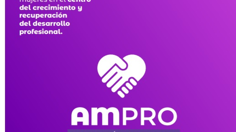 Este viernes, presentan la Asociación de Mujeres Profesionales del Chaco