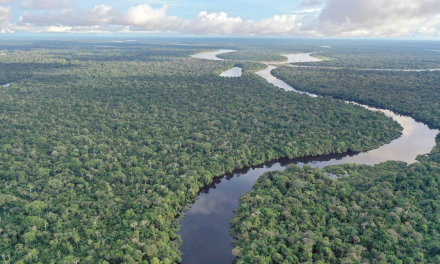 amazonas.jpg