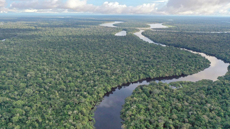 Cumbre de Brasil busca un ambicioso acuerdo para salvar la Amazonia