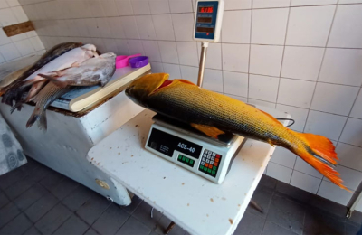 El kilo de pescado subió a 3200 pesos y superó al costo de la carne vacuna