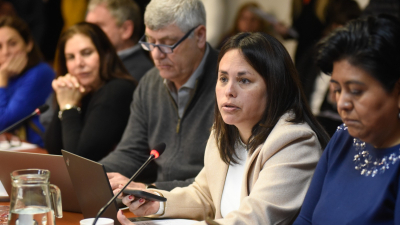 Diputados dictaminó a favor de la capacitación y formación obligatoria en discapacidad