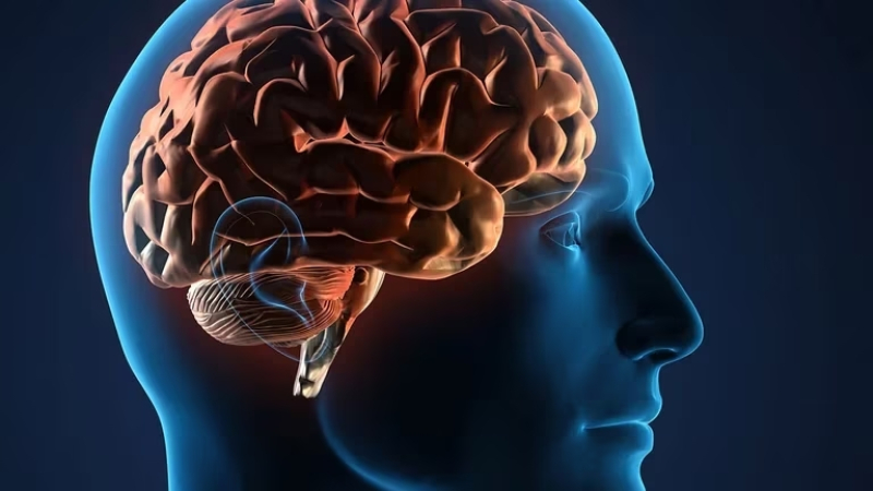 El neurocientífico argentino Adolfo García y su equipo ganaron el premio más innovador que se entrega en Harvard