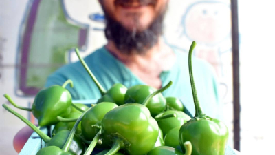 Este sábado habrá Almacén Popular con Feria Cultiva y mercados de la economía popular