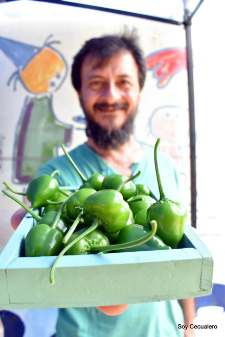 FERIA CULTIVA  - PRODUCTOS DE HUERTA.JPG