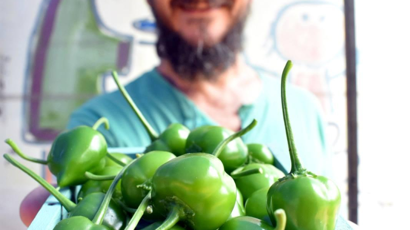 Este sábado habrá Almacén Popular con Feria Cultiva y mercados de la economía popular
