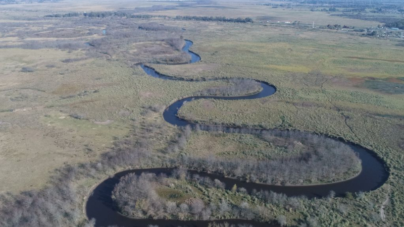 Parque Nacional Ciervo de los Pantanos, un pulmón verde que da respiro al desarrollo urbano