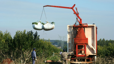 El consumo de yerba mate superó los 213 millones de kilos