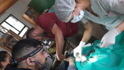 Se viene el tercer operativo de Veterinarios Amigos del Impenetrable