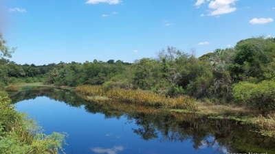 Preocupación de propietarios de reservas naturales privadas